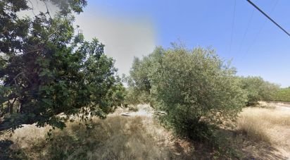 Farm land of 12,879 m² in Vila-Seca (43480)