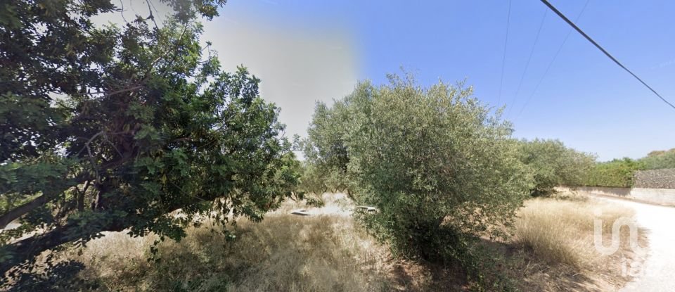 Farm land of 12,879 m² in Vila-Seca (43480)