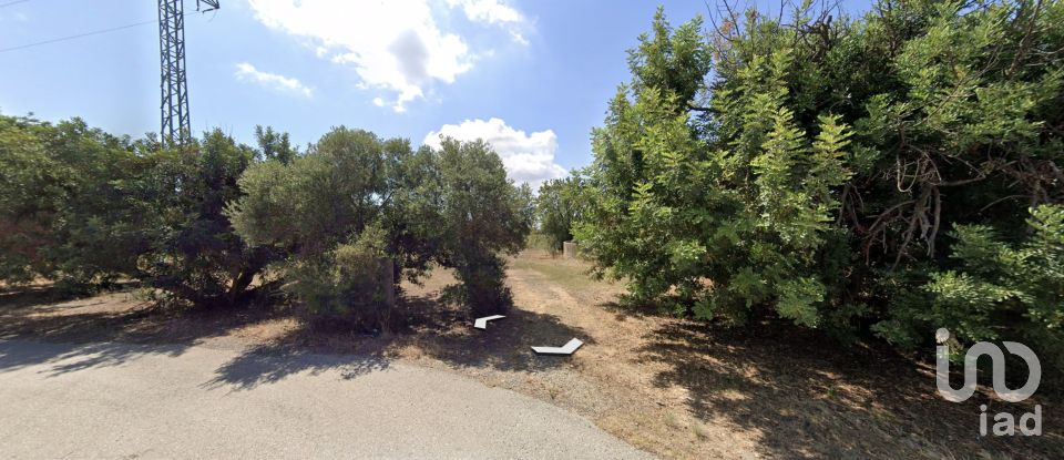 Farm land of 12,879 m² in Vila-Seca (43480)