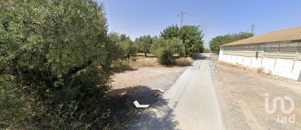 Farm land of 12,879 m² in Vila-Seca (43480)