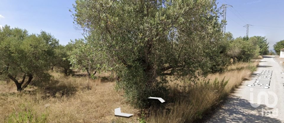 Farm land of 12,879 m² in Vila-Seca (43480)