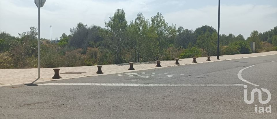 Terreny de 500 m² a L'Ametlla de Mar (43860)