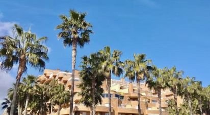 Apartment 2 bedrooms of 65 m² in Oropesa/Oropesa del Mar (12594)