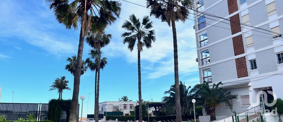 Apartment 2 bedrooms of 79 m² in Torreblanca (12596)