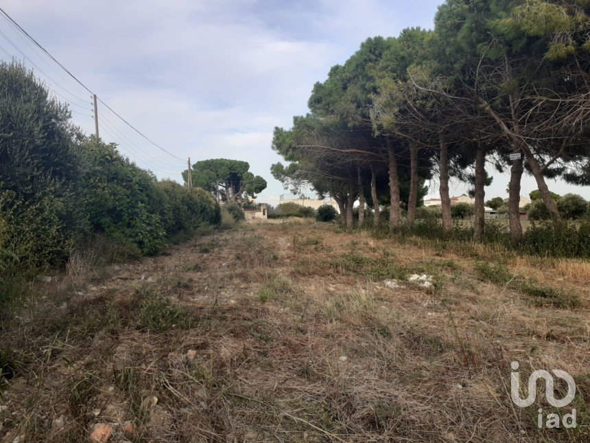 Terreno de 21.004 m² en Cambrils (43850)