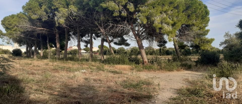 Terreno de 21.004 m² en Cambrils (43850)
