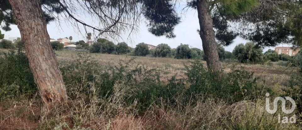 Terreno de 21.004 m² en Cambrils (43850)