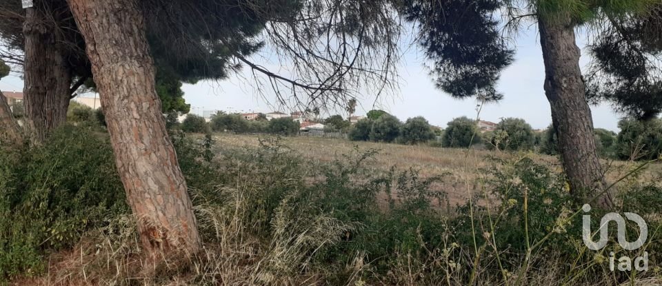 Terreno de 21.004 m² en Cambrils (43850)