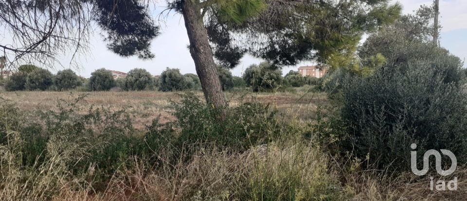 Terreno de 21.004 m² en Cambrils (43850)