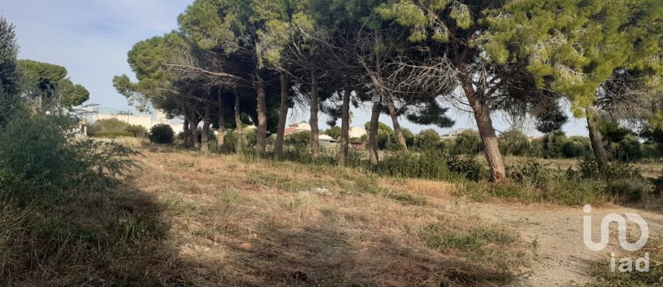 Terreno de 21.004 m² en Cambrils (43850)