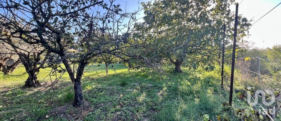 Terreny de 1.200 m² a Sant Llorenç d'Hortons (08791)