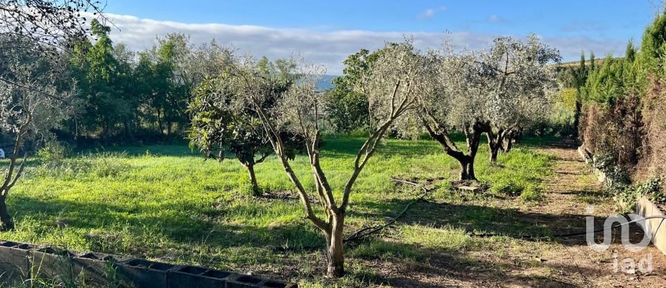 Terreny de 1.200 m² a Sant Llorenç d'Hortons (08791)