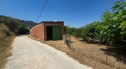 Casa rústica 0 habitaciones de 178 m² en Vall de Gallinera (03788)