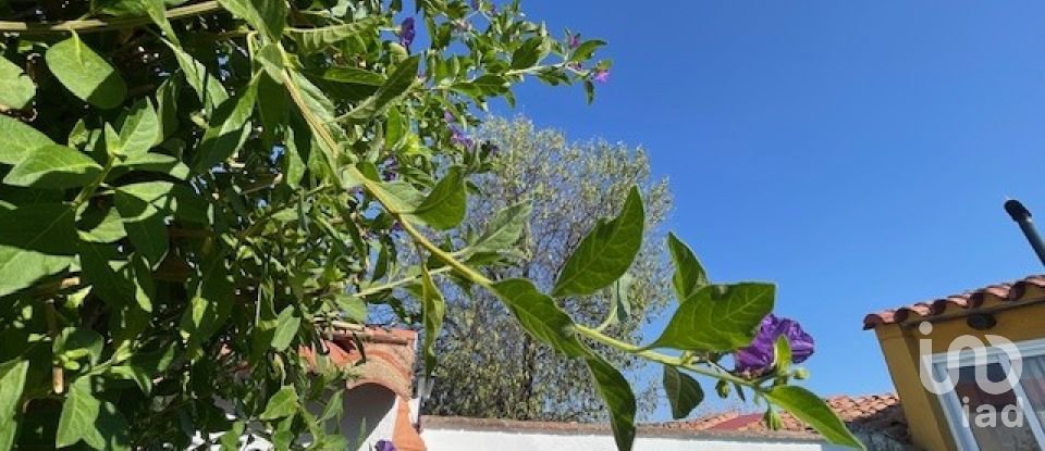 Casa 5 habitacions de 333 m² a Malcocinado (06928)