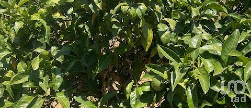 Terreno de 1.529 m² en Malcocinado (06928)