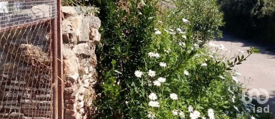 Terreno de 1.529 m² en Malcocinado (06928)