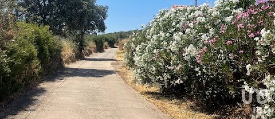 Terreno de 1.529 m² en Malcocinado (06928)