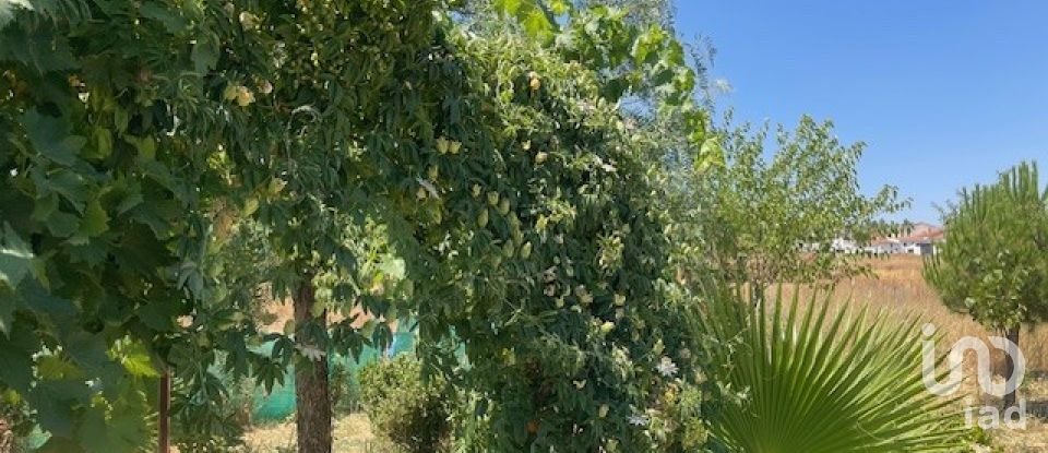 Terreno de 1.529 m² en Malcocinado (06928)