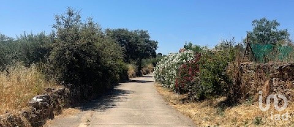 Terreno de 1.529 m² en Malcocinado (06928)