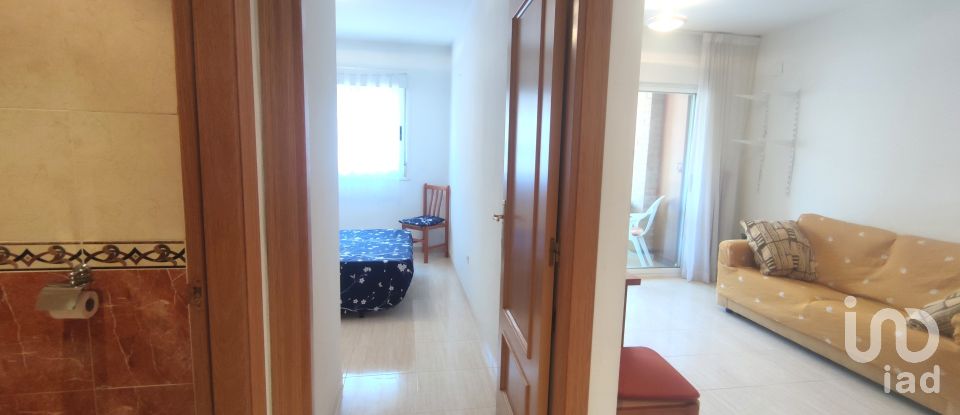 Piso 2 habitaciones de 58 m² en Oropesa/Oropesa del Mar (12594)