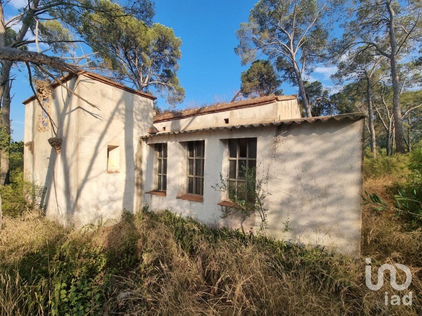 Terrain de 195 000 m² à Amposta (43870)