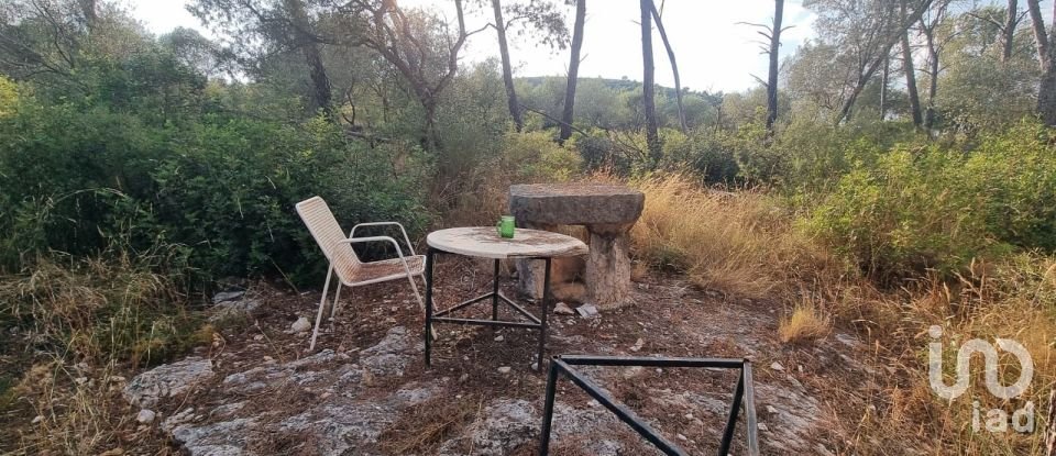 Terrain de 195 000 m² à Amposta (43870)