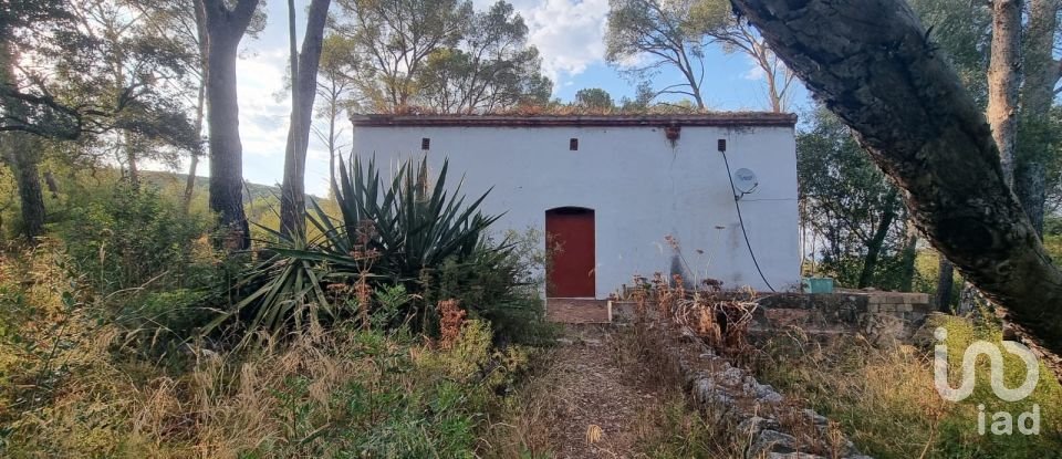 Terrain de 195 000 m² à Amposta (43870)