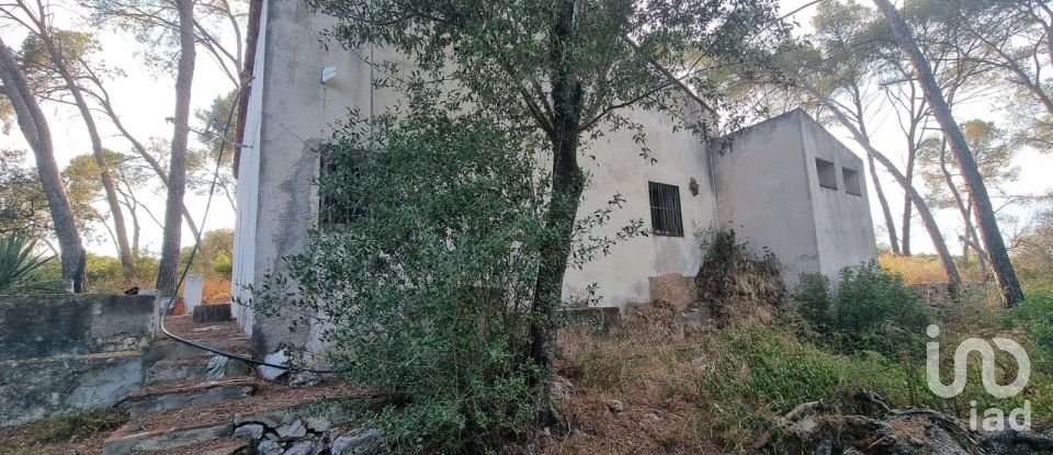 Terrain de 195 000 m² à Amposta (43870)