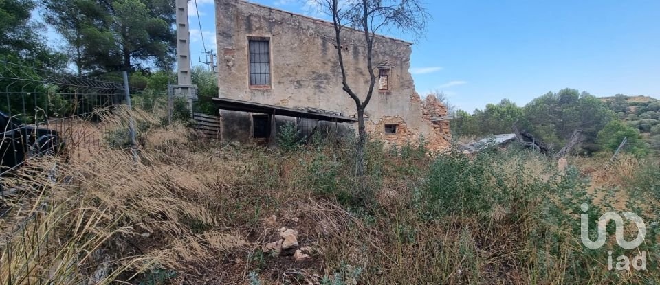 Terrain de 195 000 m² à Amposta (43870)