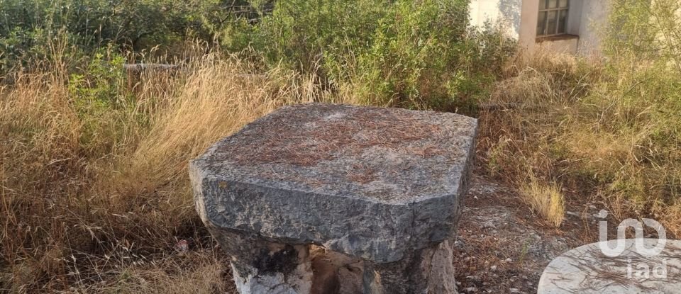 Terrain de 195 000 m² à Amposta (43870)