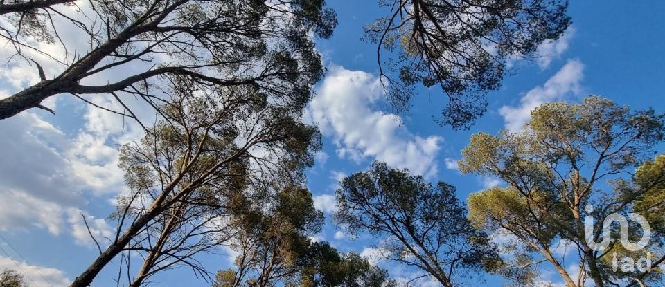 Terrain de 195 000 m² à Amposta (43870)