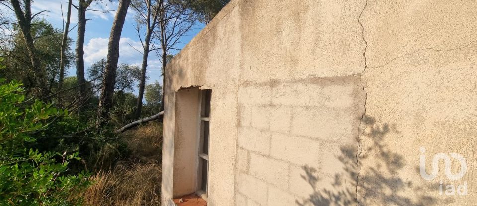 Terrain de 195 000 m² à Amposta (43870)