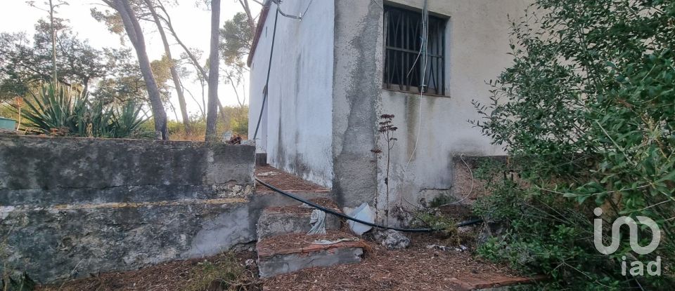 Terrain de 195 000 m² à Amposta (43870)