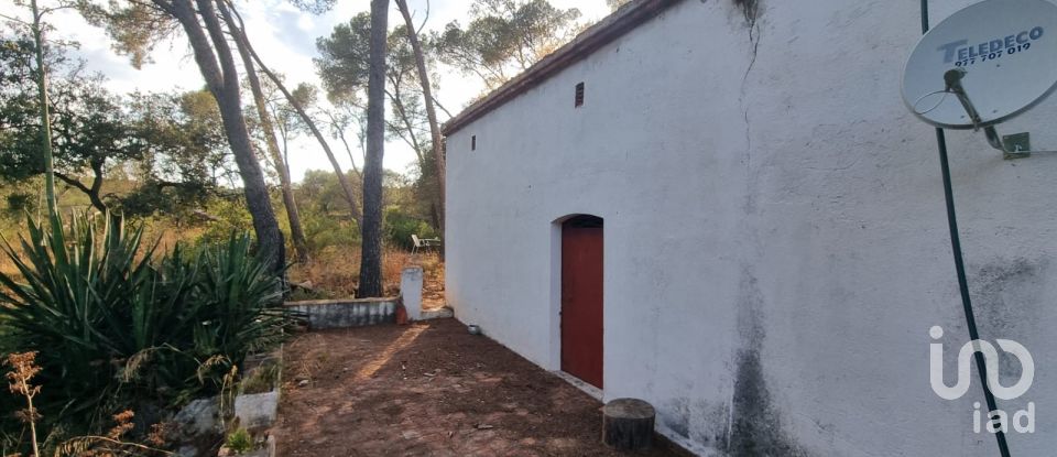 Terrain de 195 000 m² à Amposta (43870)