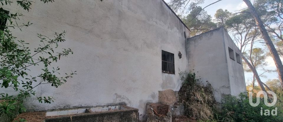 Terrain de 195 000 m² à Amposta (43870)