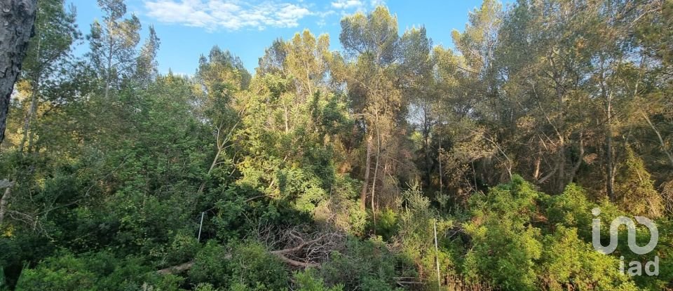 Terrain de 195 000 m² à Amposta (43870)