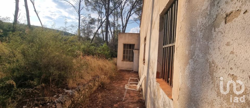 Terrain de 195 000 m² à Amposta (43870)