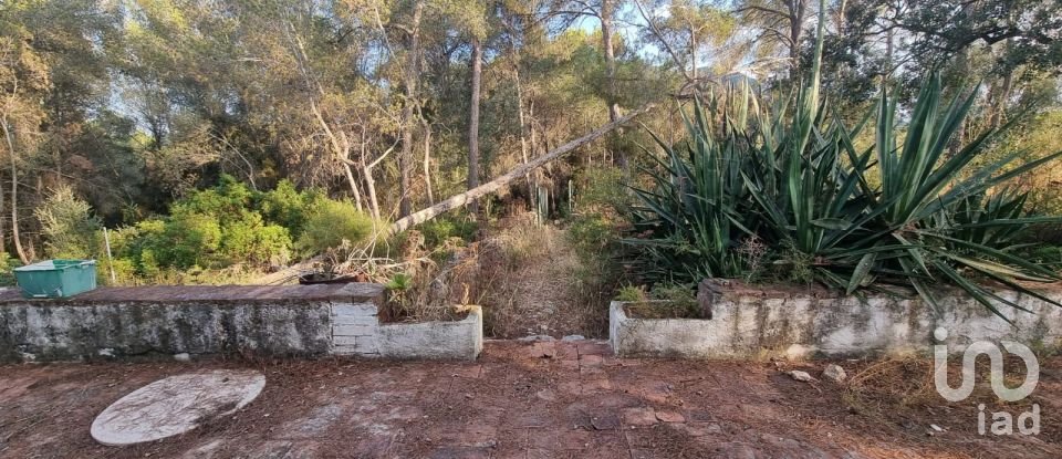 Terrain de 195 000 m² à Amposta (43870)