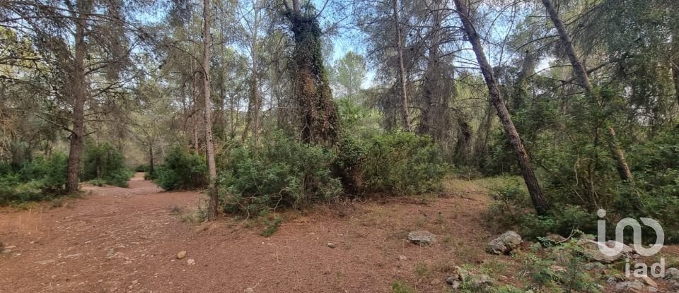 Terrain de 195 000 m² à Amposta (43870)