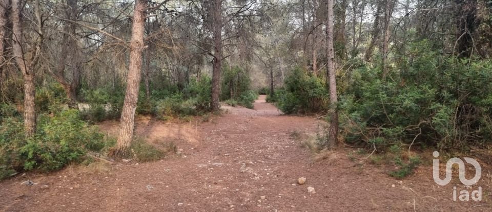 Terrain de 195 000 m² à Amposta (43870)