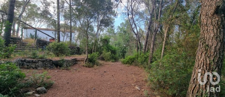 Terrain de 195 000 m² à Amposta (43870)