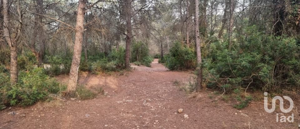 Terrain de 195 000 m² à Amposta (43870)