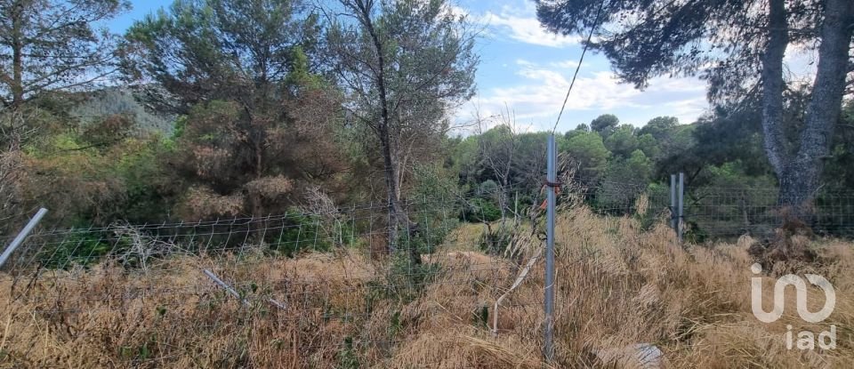 Terrain de 195 000 m² à Amposta (43870)