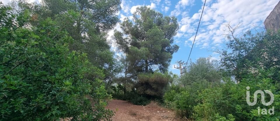 Terrain de 195 000 m² à Amposta (43870)