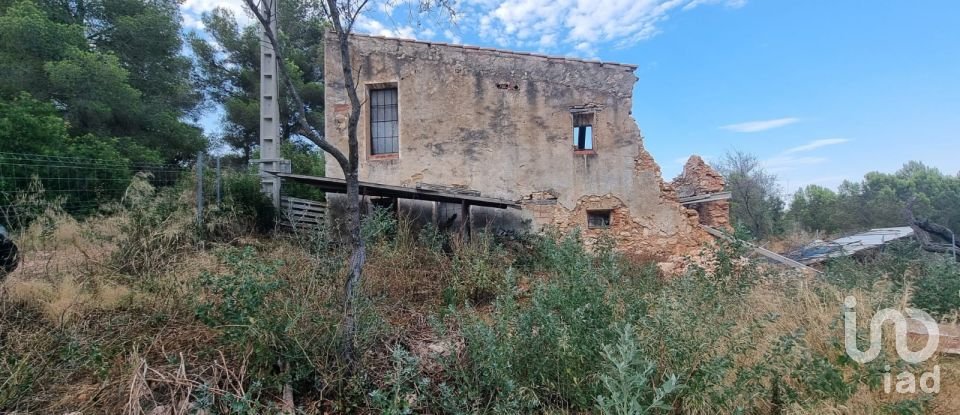 Terrain de 195 000 m² à Amposta (43870)