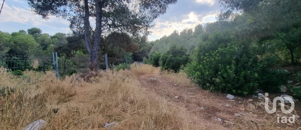 Terrain de 195 000 m² à Amposta (43870)