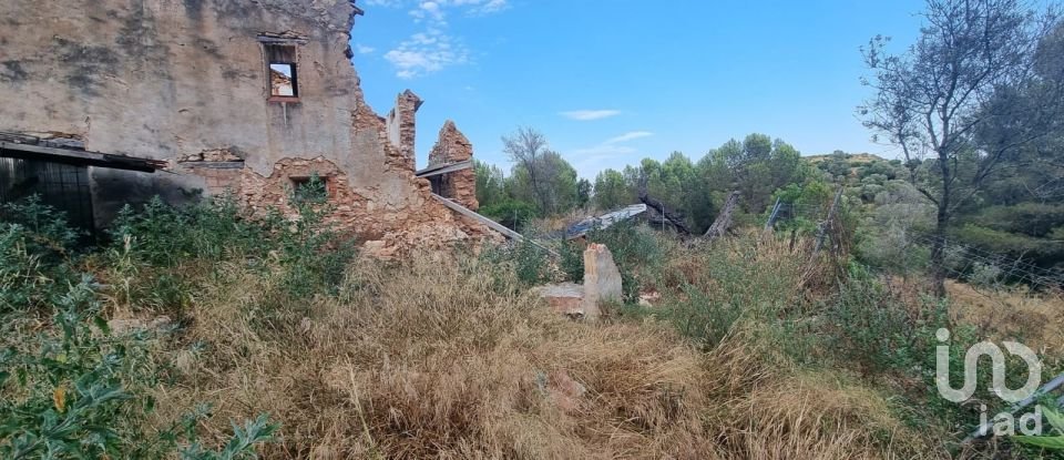 Terrain de 195 000 m² à Amposta (43870)