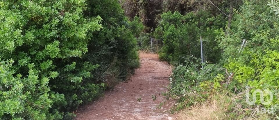 Terrain de 195 000 m² à Amposta (43870)