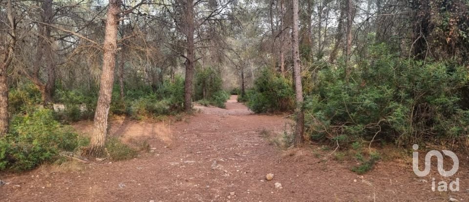 Terrain de 195 000 m² à Amposta (43870)