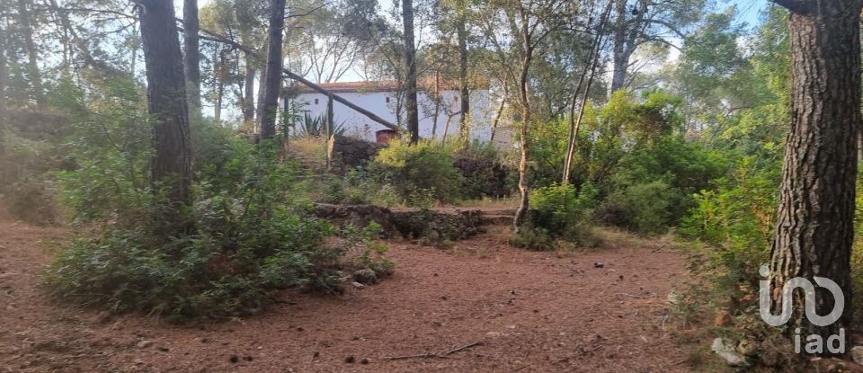 Terrain de 195 000 m² à Amposta (43870)